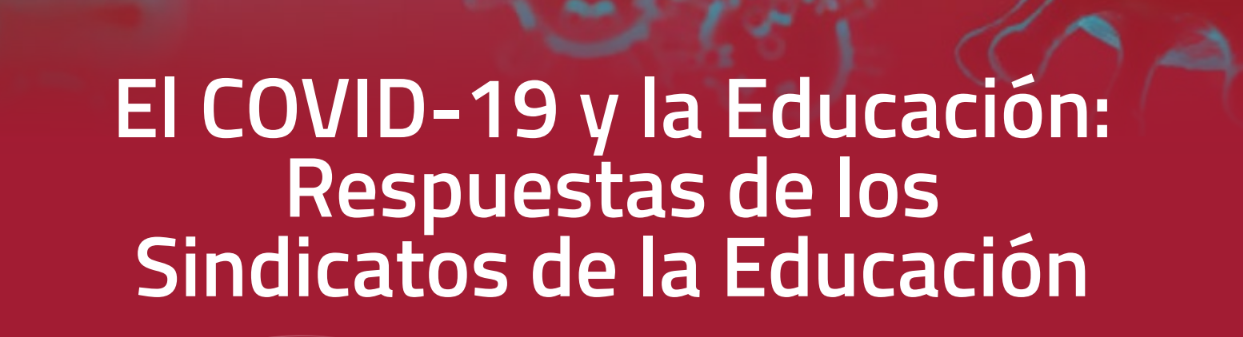 Seminario en línea sobre la respuesta de la IE a la crisis de COVID-19