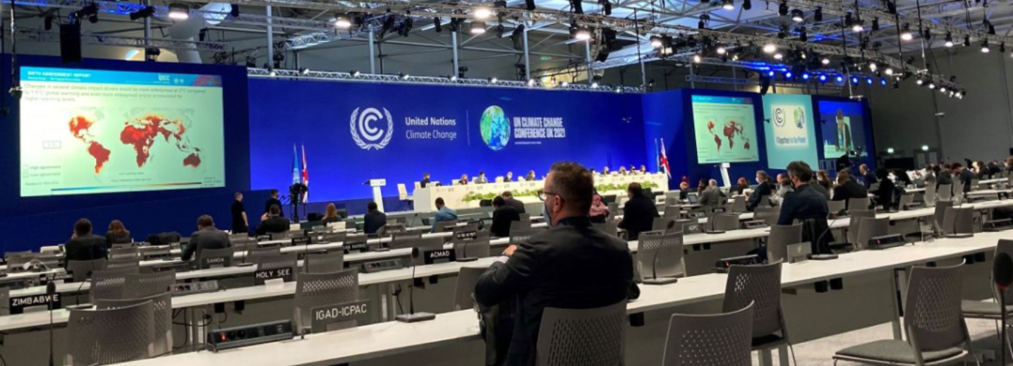 Conferencia en línea de las Naciones Unidas sobre el Cambio Climático (COP26)