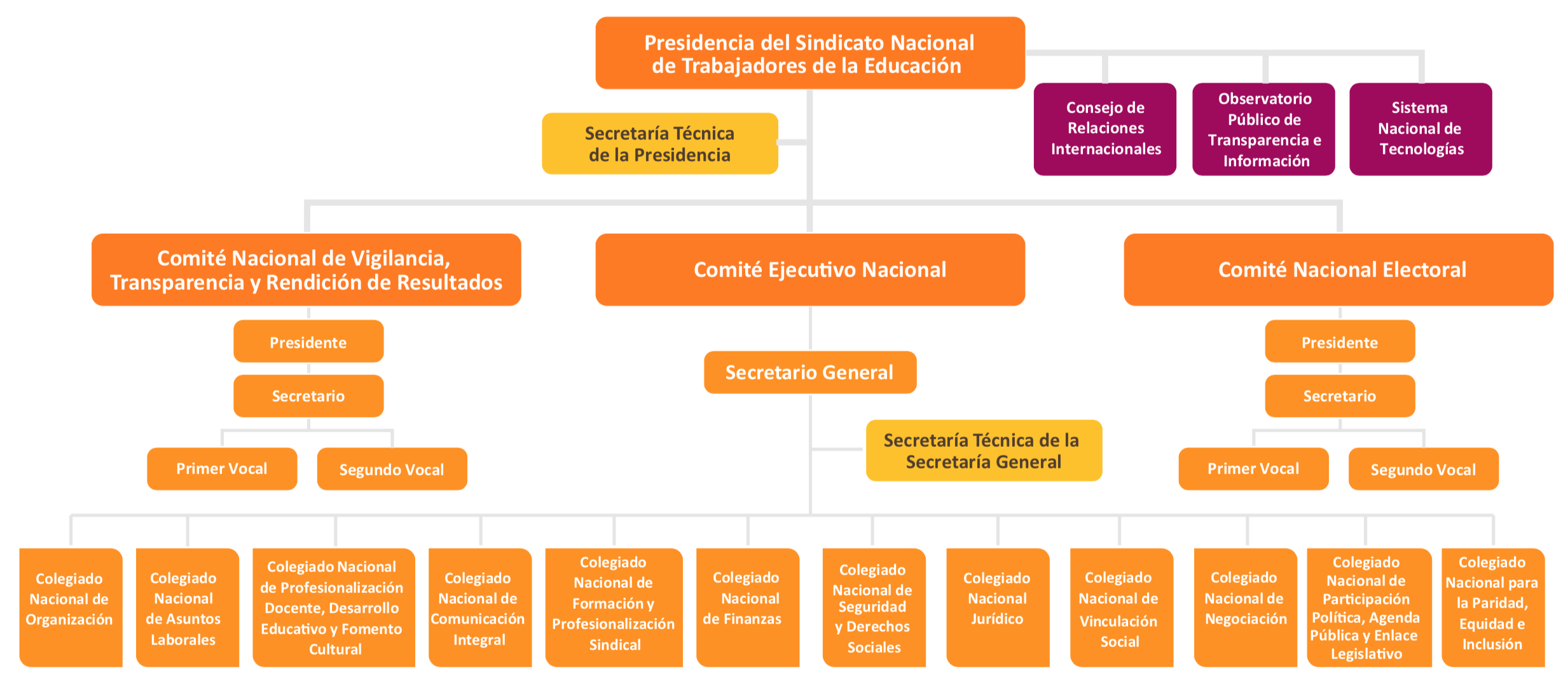 Organigrama Observatorio Público De Transparencia E Información Optisnte 5196